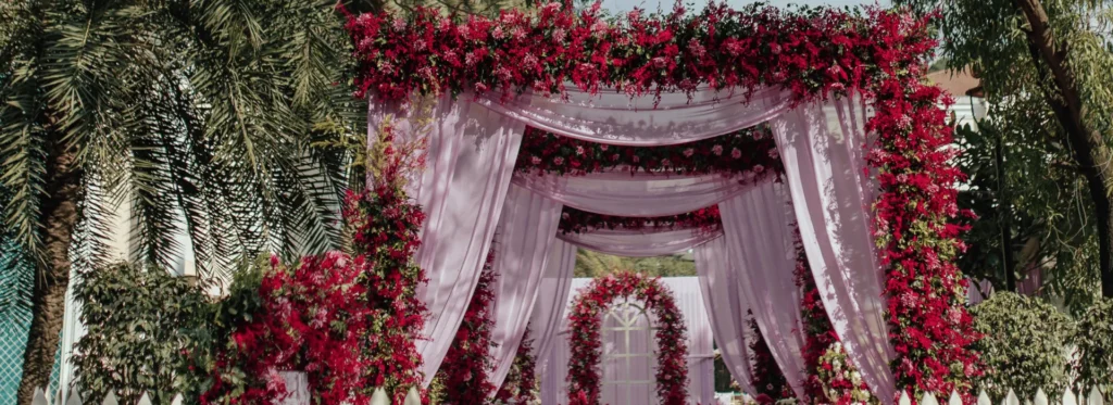 Dream Decor Co.