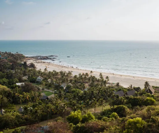 ShaadiLuv Listing Location Taxonomy Goa