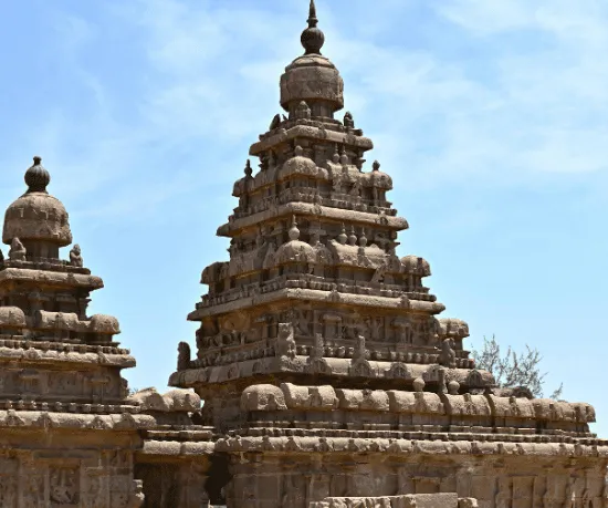ShaadiLuv Listing Location Taxonomy Tamil Nadu