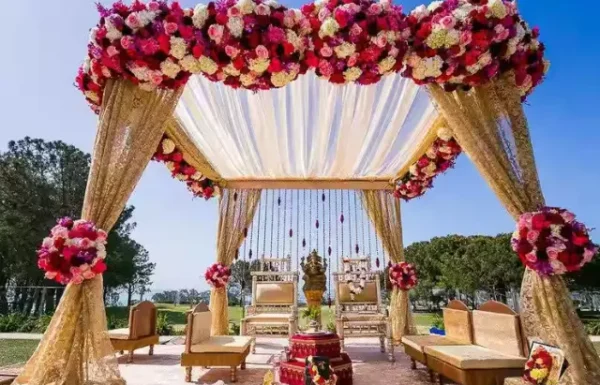 Venue Category Vendor Mallu Farms mallu farm